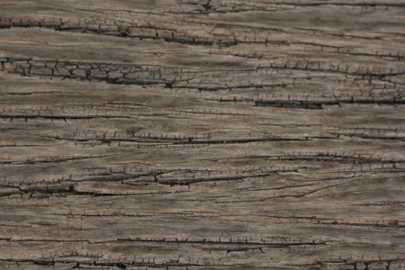 Background,  for inset the picture or text on this,  will be best success.の写真素材