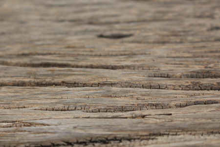 Background,  for inset the picture or text on this,  will be best success.