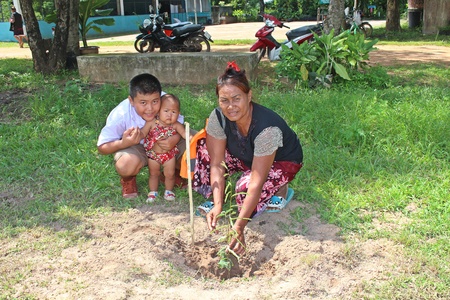 UDONTHANI, THAILAND  JUNE 5, 2018:  Student, Asian student and his parent are growing the tree together,  in the area of BAN HUA KUA MUEAD AE school.のeditorial素材