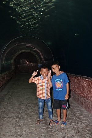 NONGKHAI, THAILAND â DECEMBER 12, 2018 :  Two boys pose for take a photograph,  see them at NONGKHAI aquarium,  in NONGKHAI province THAILAND.のeditorial素材