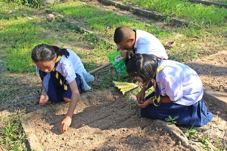 UDONTHANI, THAILAND â DECEMBER 21, 2018:  Thai students are preparing the soil for take seed to grow,  be a part of education that their school.のeditorial素材