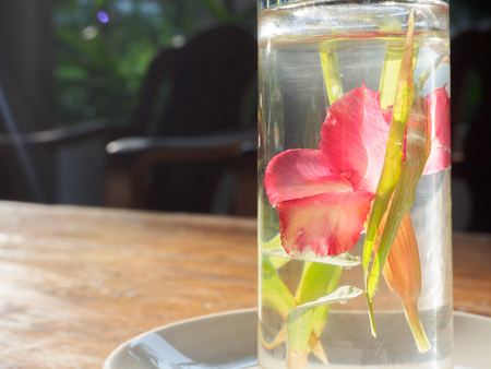Red flower in a glass of water in With water insideの写真素材