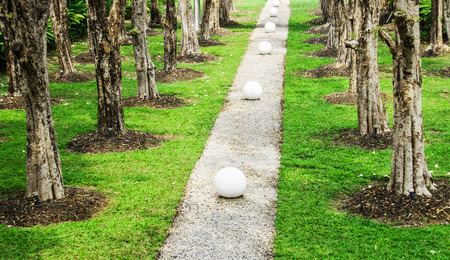 blurry roadway in the garden for backgroundの写真素材