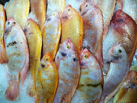 Orange freeze fish in market