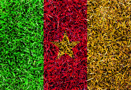 Cameroon Flag color grass texture backgroundの写真素材