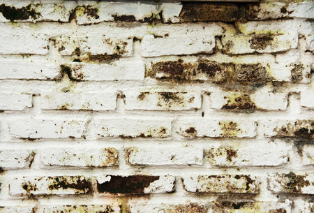 close up dirty wet of brick wallの写真素材