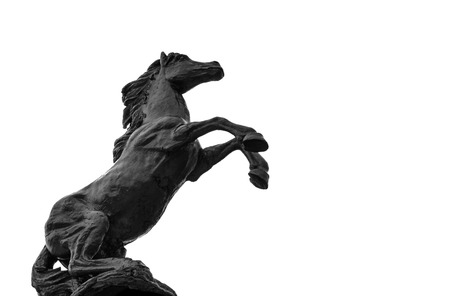 Statues black hourses on isolateの写真素材