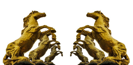 Statues cople of golden hourses on white isolate の写真素材