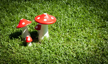 red mushrooms for deco gardenの写真素材