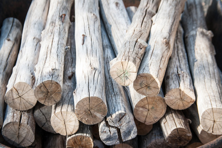 cutting logs texture