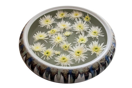 white daisy flower on water in ceramic bowl
