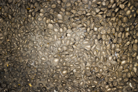 stone way texture in the dark for background
