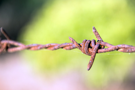 close up Rusty barb wire in blury backgroundの写真素材