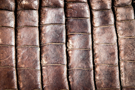 close up crocodile leather texture backgroundの写真素材