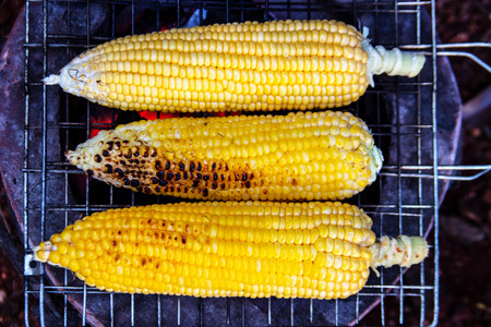 corn grill on iron net at kampingの写真素材