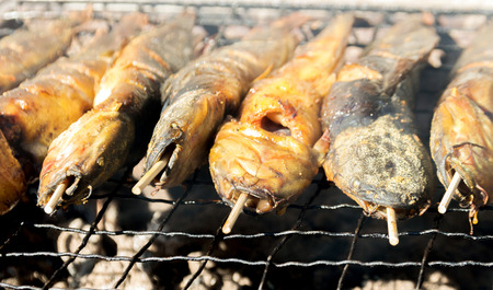 close up barbeque grill outdoor shot with wood stickの写真素材