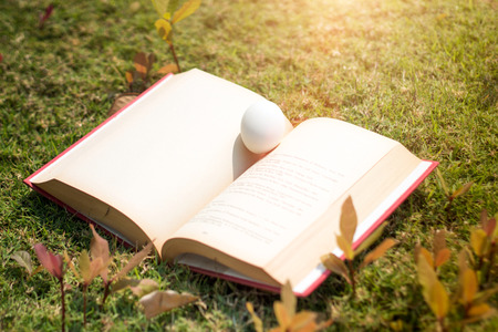 egg on old book in history of easter concept in outdoorの写真素材