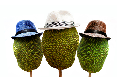 jackfruite with hat in summer on isolate concept