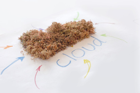 close up wood sawdust cloud shape and draw arrow and text in design data collective for new generationの写真素材