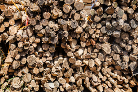 select slide cutting hard wood on warehouse for carpenter furniture, or construction industry...
