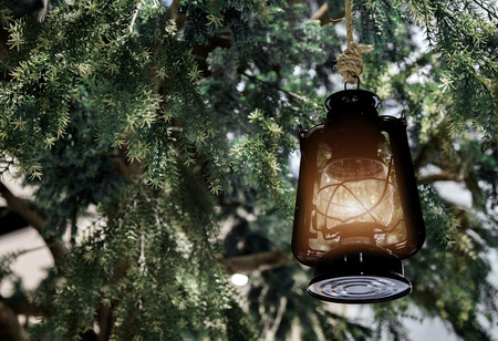 light lantern hanking on pine tree in dark backgroundの写真素材