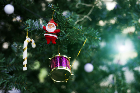 close up santa doll decoration on pine treeの写真素材