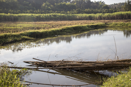 clean water pond on field agriculture lifeの写真素材