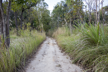 off road to mountain journy nice landscapeの写真素材
