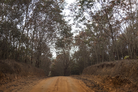 off road to mountain journy nice landscapeの写真素材