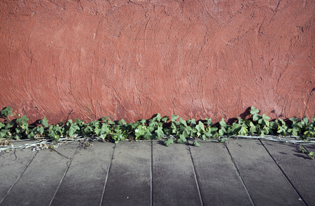 old cement and wood floor with ivy for backgroundの写真素材