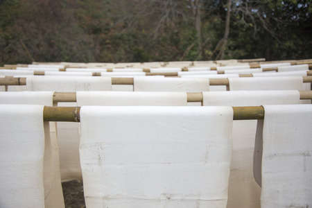 close up dry rubber with wood rack outdoor on fieldの写真素材