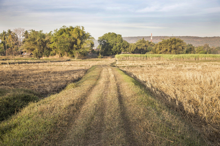 border field in agriculture landscapeの写真素材