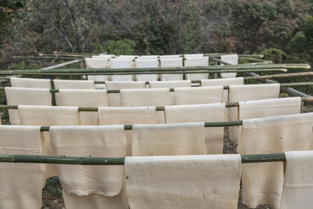 dry rubber with bamboo wood rack outdoor on fieldの写真素材
