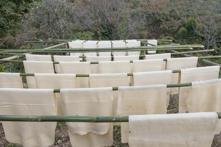 dry rubber with bamboo wood rack outdoor on fieldの写真素材