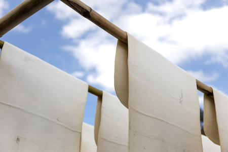 close up dry rubber with wood rack outdoor from bottom view to skyの写真素材