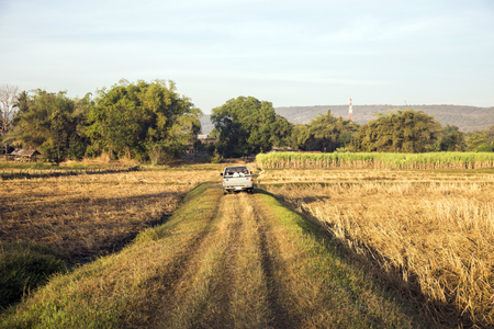 truck on field in rural agriculture lifeの写真素材