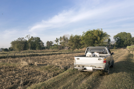truck on field in rural agriculture lifeの写真素材