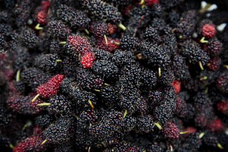 group of mulberries is placed on white basket. Mulberry this a superfruit for health. Mulberry is a lot of vitamin and sweet nature.の写真素材