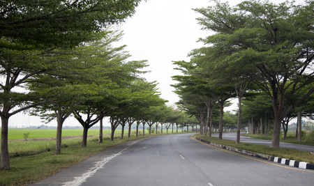 country road with peaceful landscape for travel. Transport road way to rural.の写真素材