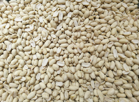 raw peanut grain for backgroundの写真素材