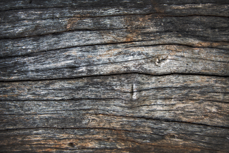 close up abstract wood surface background. beauty in natureの写真素材