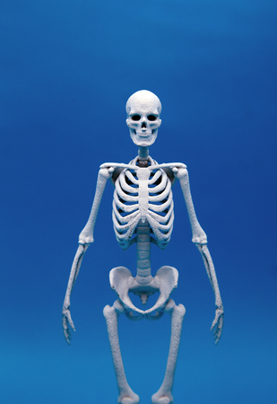 calcium human bone on blur color background in healthy concept