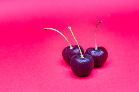 dark cherry on red background and copy spaceの写真素材