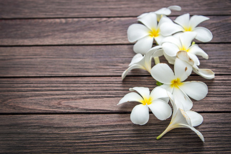 White frangipapi flower on wood table with copy space for background. frangipapi flower is aroma flower and symbol of asian spa concept.の写真素材