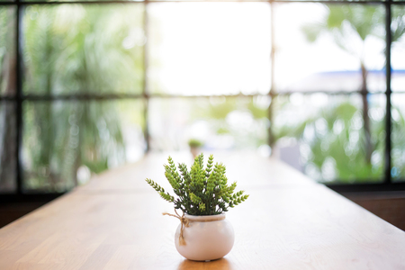 decoration wood table on indoor garden with mini green tree and ceramic jar in morning lightの写真素材