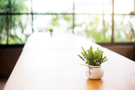decoration wood table on indoor garden with mini green tree and ceramic jar in morning lightの写真素材
