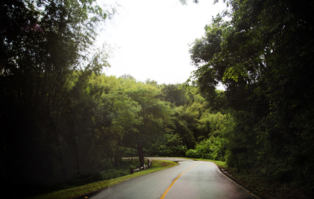road way to the jungle rain forest in Thailandの写真素材
