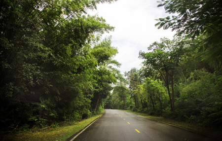 road way to the jungle rain forest in Thailandの写真素材