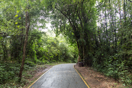 road way to the jungle rain forest in Thailandの写真素材
