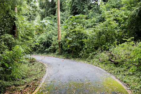 road way to the jungle rain forest in Thailandの写真素材